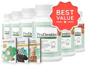 6 ProDentim bottles